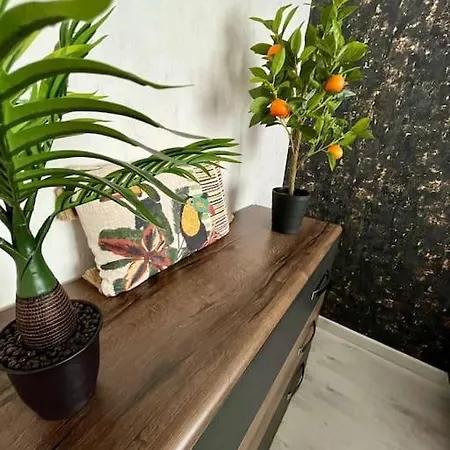 Appartement Le Tropical *