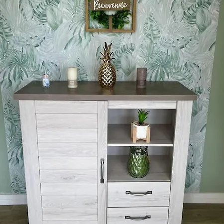 Le Tropical Apartment Saint-Dizier