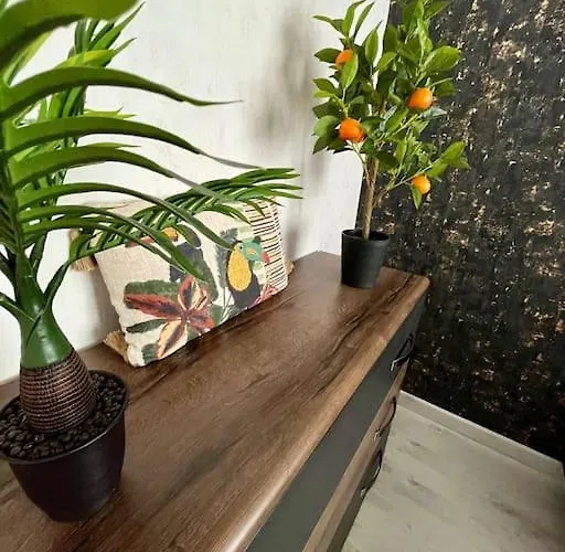 アパート Le Tropical *